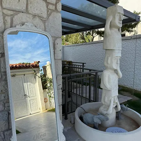 Olea Alacati